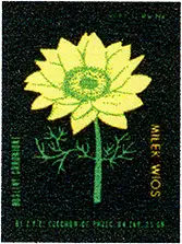 Zaklady Przemyslu Zapalczanego Etykieta z 249