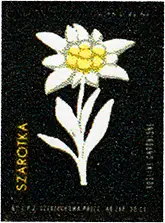 Zaklady Przemyslu Zapalczanego Etykieta z 251