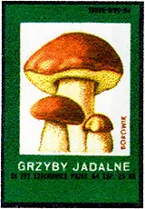 Zaklady Przemyslu Zapalczanego Etykieta z 263