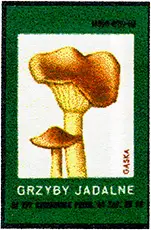 Zaklady Przemyslu Zapalczanego Etykieta z 264