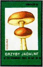 Zaklady Przemyslu Zapalczanego Etykieta z 266