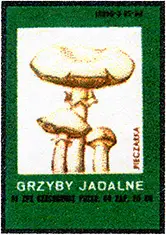 Zaklady Przemyslu Zapalczanego Etykieta z 268