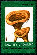 Zaklady Przemyslu Zapalczanego Etykieta z 269