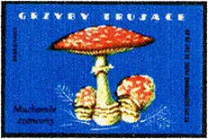 Zaklady Przemyslu Zapalczanego Etykieta z 301