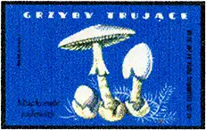 Zaklady Przemyslu Zapalczanego Etykieta z 302