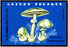 Zaklady Przemyslu Zapalczanego Etykieta z 304