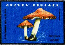 Zaklady Przemyslu Zapalczanego Etykieta z 306