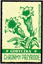 Zaklady Przemyslu Zapalczanego Etykieta z 91