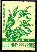 Zaklady Przemyslu Zapalczanego Etykieta z 92