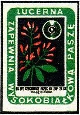 Zaklady Przemyslu Zapalczanego Etykieta z 353