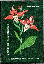 Zaklady Przemyslu Zapalczanego Etykieta z 377