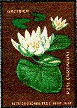 Zaklady Przemyslu Zapalczanego Etykieta z 379