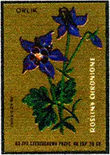 Zaklady Przemyslu Zapalczanego Etykieta z 381