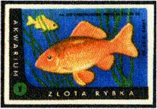 Zaklady Przemyslu Zapalczanego Etykieta z 518