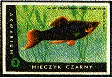 Zaklady Przemyslu Zapalczanego Etykieta z 520