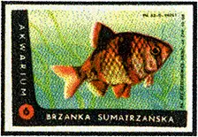 Zaklady Przemyslu Zapalczanego Etykieta z 523