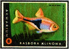 Zaklady Przemyslu Zapalczanego Etykieta z 525