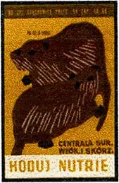 Zaklady Przemyslu Zapalczanego Etykieta z 577