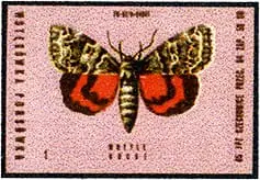 Zaklady Przemyslu Zapalczanego Etykieta z 588