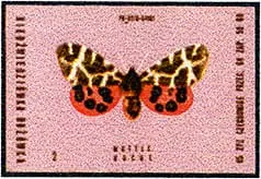 Zaklady Przemyslu Zapalczanego Etykieta z 589