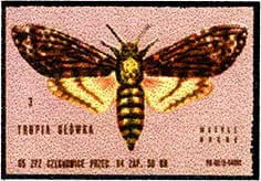 Zaklady Przemyslu Zapalczanego Etykieta z 590