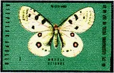 Zaklady Przemyslu Zapalczanego Etykieta z 594