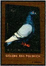 Zaklady Przemyslu Zapalczanego Etykieta z 633