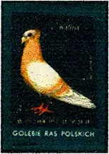 Zaklady Przemyslu Zapalczanego Etykieta z 637