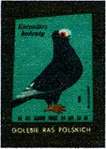 Zaklady Przemyslu Zapalczanego Etykieta z 638